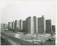 Gen. view of Fort Greene Housing project