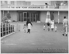 [The New York Aquarium]