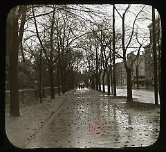 Fall [Prospect Park West]