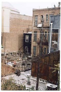 From 1072 Lorimer St.