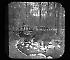 Views: U.S., Brooklyn. Brooklyn, Prospect Park. View 004: Rustic Bridge.