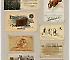 Set of 8 tradecards mounted on cardstock. Recto.